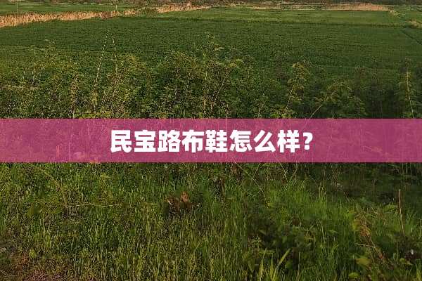 民宝路布鞋怎么样？