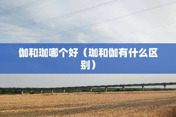 伽和珈哪个好（珈和伽有什么区别）