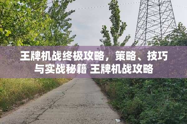 王牌机战终极攻略,策略、技巧与实战秘籍 王牌机战攻略 王牌机战终极攻略,策略、技巧与实战秘籍 王牌机战攻略