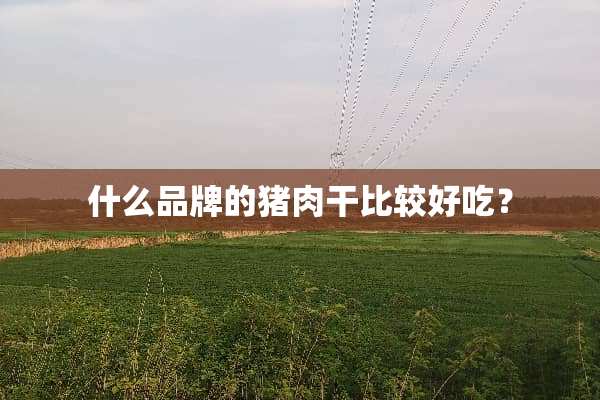 什么品牌的猪肉干比较好吃？