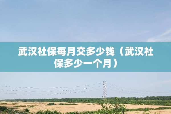 武汉社保每月交多少钱（武汉社保多少一个月）