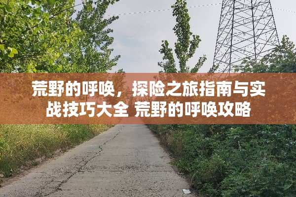 荒野的呼唤，探险之旅指南与实战技巧大全 荒野的呼唤攻略