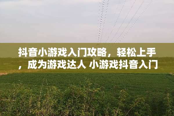 抖音小游戏入门攻略，轻松上手，成为游戏达人 小游戏抖音入门攻略