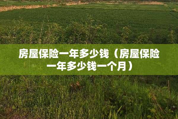 房屋保险一年多少钱（房屋保险一年多少钱一个月）