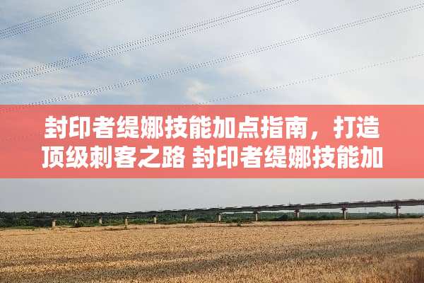 封印者缇娜技能加点指南，打造**刺客之路 封印者缇娜技能加点