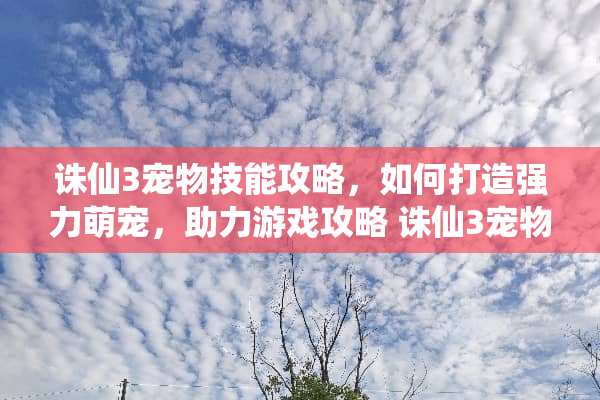 诛仙3宠物技能攻略，如何打造强力萌宠，助力游戏攻略 诛仙3宠物技能