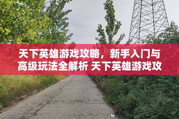 天下英雄游戏攻略，新手入门与高级玩法全解析 天下英雄游戏攻略
