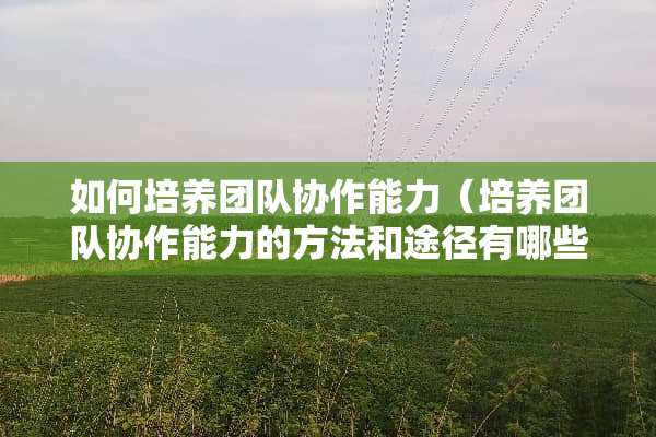 如何培养团队协作能力(培养团队协作能力的方法和途径有哪些) 如何培养团队协作能力(培养团队协作能力的方法和途径有哪些)