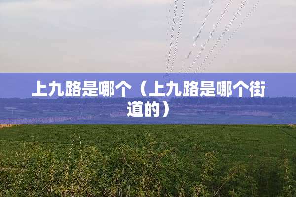 上九路是哪个（上九路是哪个街道的）