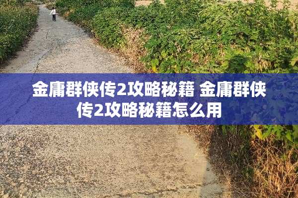 金庸群侠传2攻略秘籍 金庸群侠传2攻略秘籍怎么用