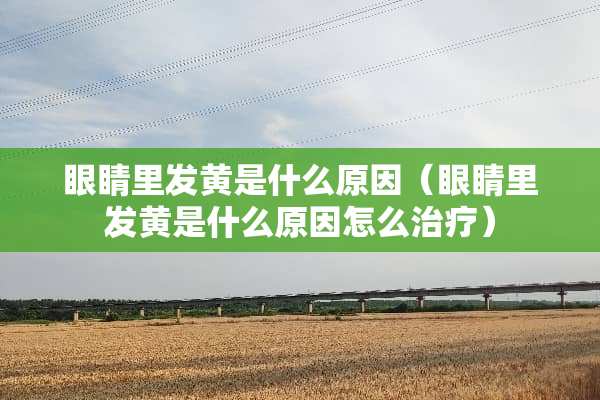 眼睛里发黄是什么原因（眼睛里发黄是什么原因怎么治疗）