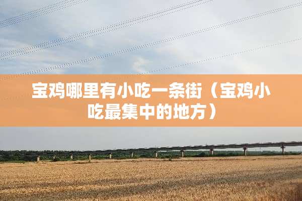 宝鸡哪里有小吃一条街（宝鸡小吃最集中的地方）