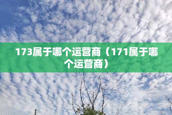 173属于哪个运营商（171属于哪个运营商）