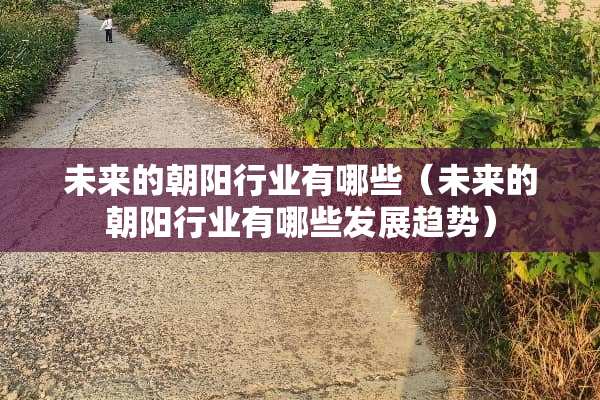 未来的朝阳行业有哪些（未来的朝阳行业有哪些发展趋势）
