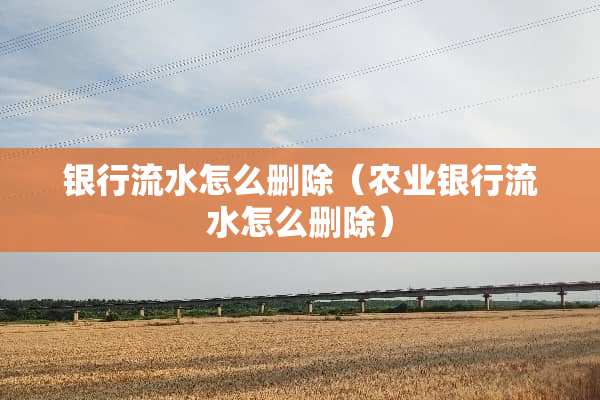 银行流水怎么删除（农业银行流水怎么删除）