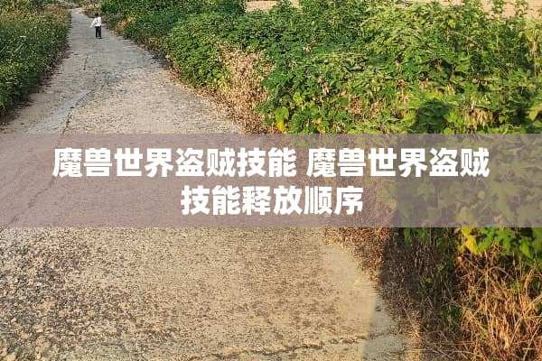 魔兽世界盗贼技能 魔兽世界盗贼技能释放顺序