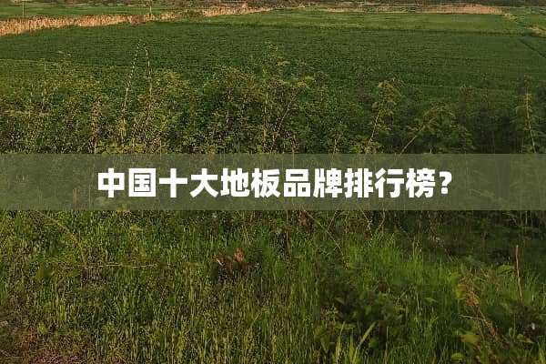 中国十大地板品牌排行榜？