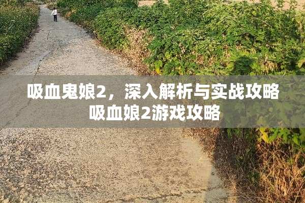 吸血鬼娘2，深入解析与实战攻略 吸血娘2游戏攻略