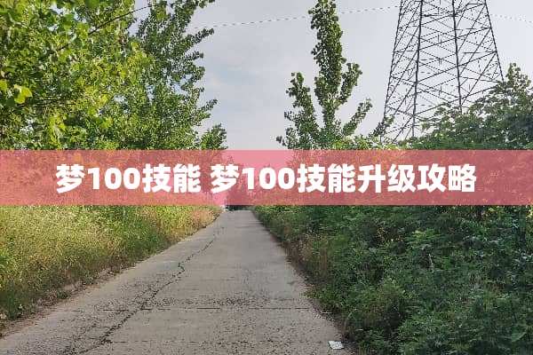 梦100技能 梦100技能升级攻略 梦100技能 梦100技能升级攻略