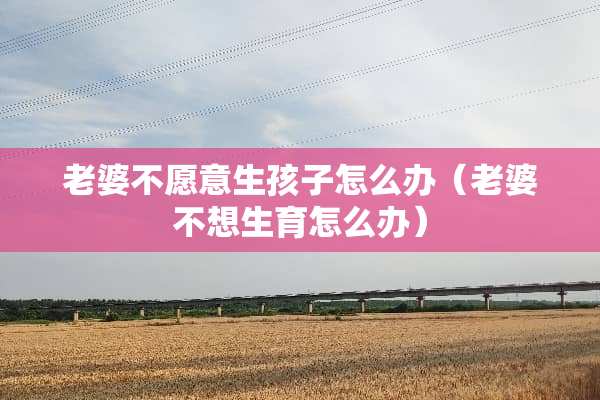 老婆不愿意生孩子怎么办（老婆不想生育怎么办）