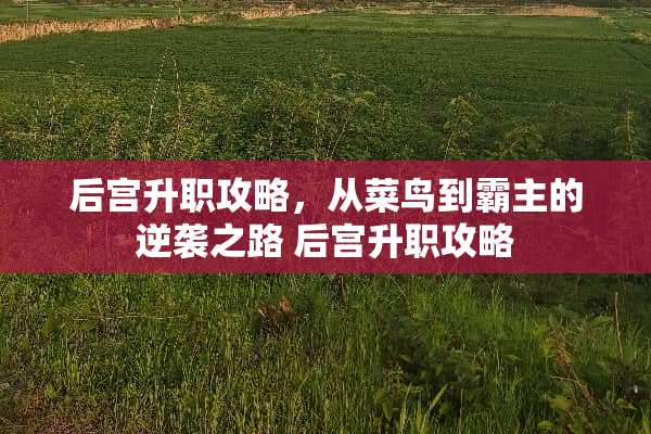 后宫升职攻略，从菜鸟到霸主的逆袭之路 后宫升职攻略