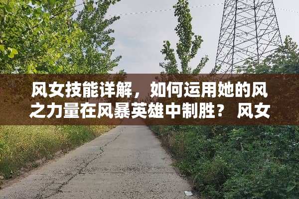 风女技能详解，如何运用她的风之力量在风暴英雄中制胜？ 风女技能介绍