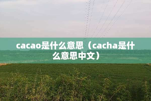 cacao是什么意思（cacha是什么意思中文）