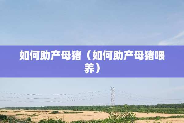 如何助产母猪（如何助产母猪喂养）
