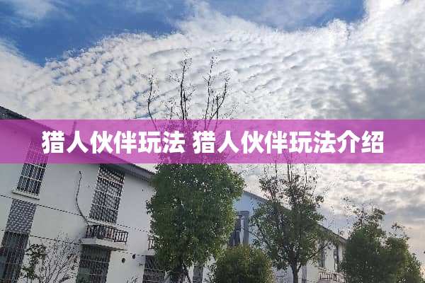 猎人伙伴玩法 猎人伙伴玩法介绍