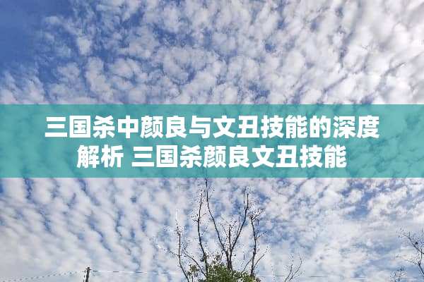 三国杀中颜良与文丑技能的深度解析 三国杀颜良文丑技能
