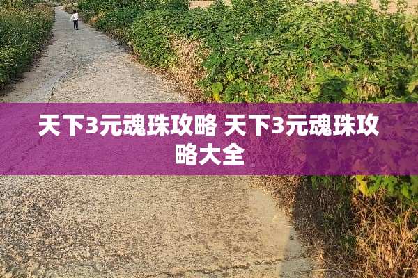 天下3元魂珠攻略 天下3元魂珠攻略大全