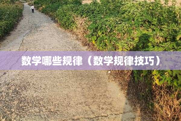 数学哪些规律(数学规律技巧) 数学哪些规律(数学规律技巧)