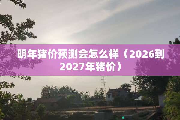 明年猪价预测会怎么样（2026到2027年猪价）