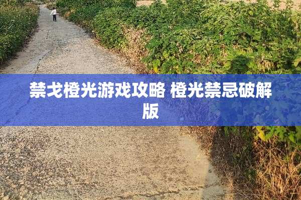 禁戈橙光游戏攻略 橙光禁忌**版