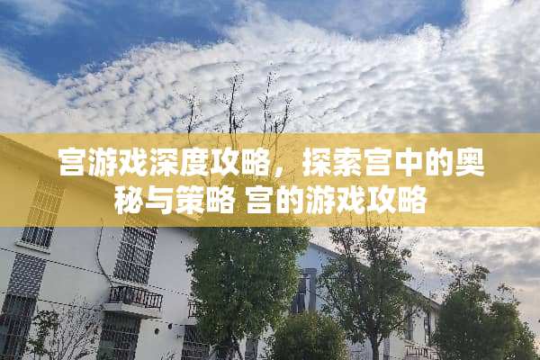 宫游戏深度攻略，探索宫中的奥秘与策略 宫的游戏攻略