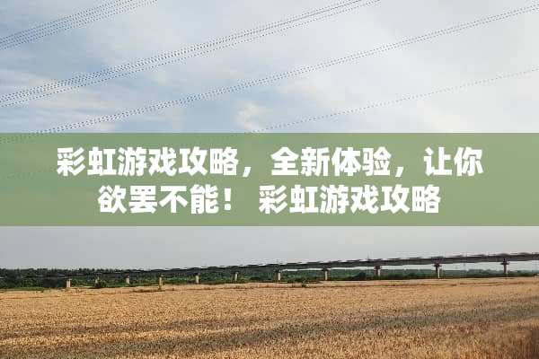 彩虹游戏攻略，全新体验，让你欲罢不能！ 彩虹游戏攻略