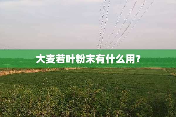 大麦若叶粉末有什么用？