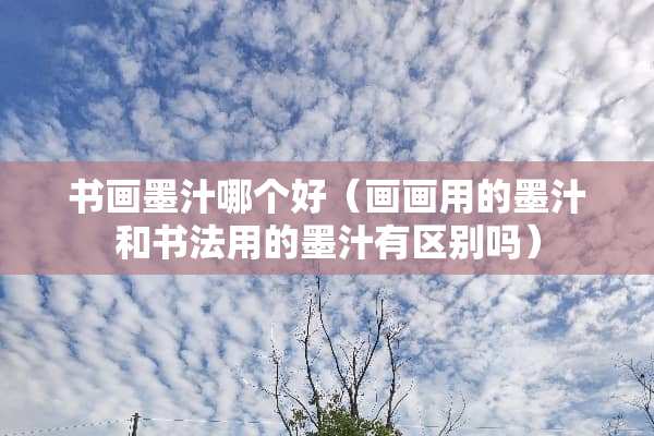 书画墨汁哪个好（画画用的墨汁和书法用的墨汁有区别吗）