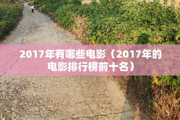 2017年有哪些电影（2017年的电影排行榜前十名）