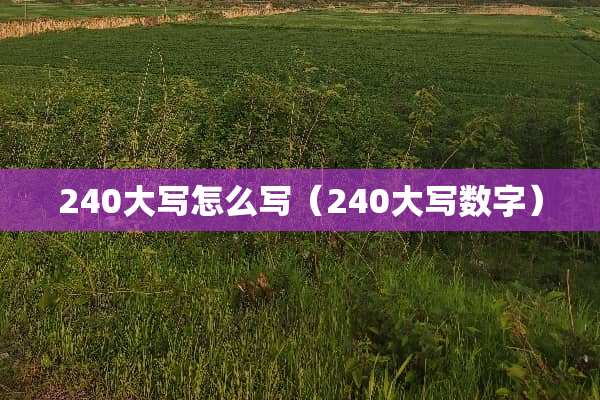 240大写怎么写（240大写数字）