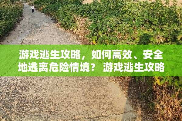 游戏逃生攻略，如何高效、安全地逃离危险情境？ 游戏逃生攻略