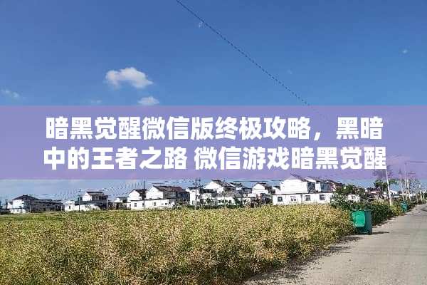 暗黑觉醒微信版终极攻略，黑暗中的王者之路 微信游戏暗黑觉醒攻略