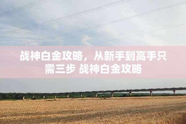 战神白金攻略，从新手到高手只需三步 战神白金攻略