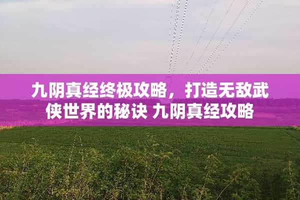 九*真经终极攻略，打造无敌武侠世界的秘诀 九*真经攻略