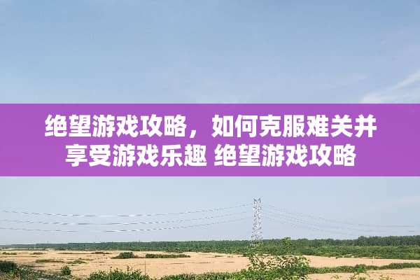 绝望游戏攻略，如何克服难关并享受游戏乐趣 绝望游戏攻略
