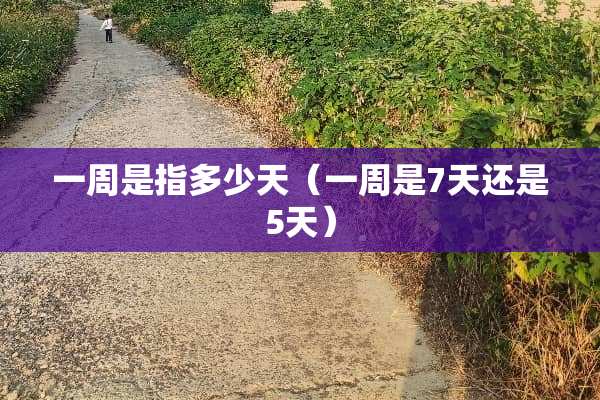 一周是指多少天（一周是7天还是5天）