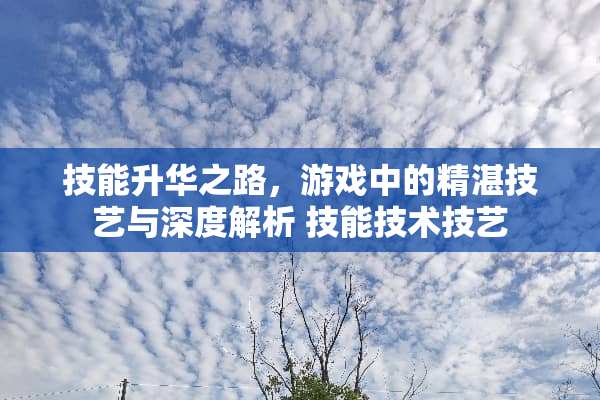 技能升华之路，游戏中的精湛技艺与深度解析 技能技术技艺