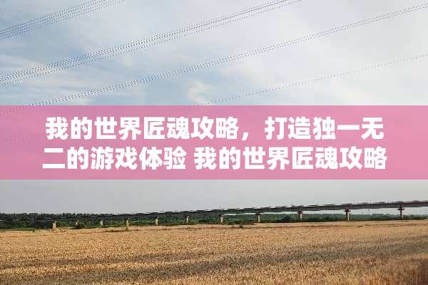 我的世界匠魂攻略，打造独一无二的游戏体验 我的世界匠魂攻略