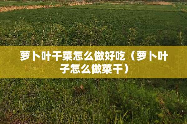 萝卜叶干菜怎么做好吃（萝卜叶子怎么做菜干）