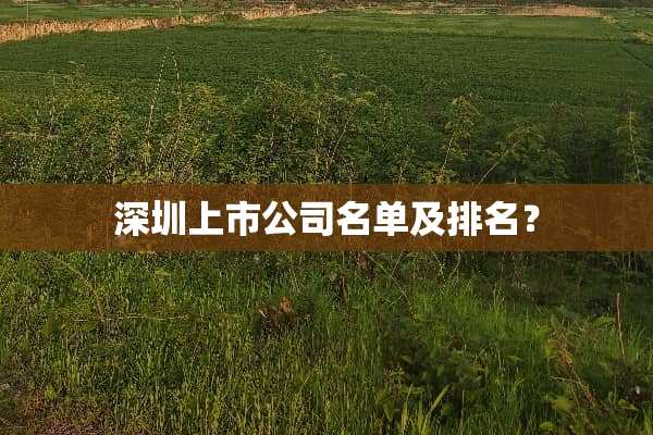 深圳上市公司名单及排名？
